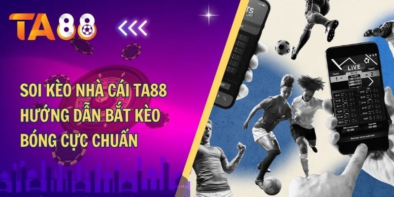 Soi kèo nhà cái