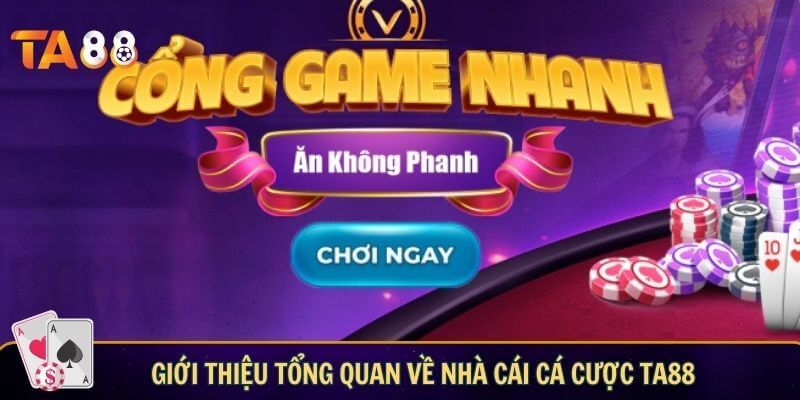 Giới thiệu tổng quan về nhà cái cá cược TA88
