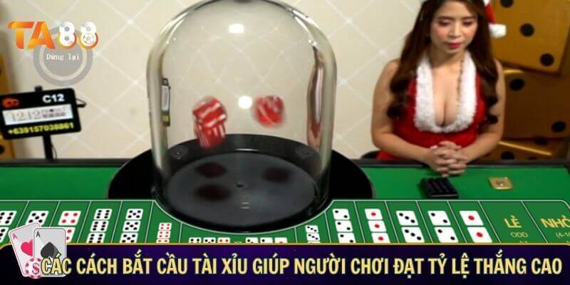 Cách bắt cầu tài xỉu - Típ soi cầu hiệu quả giúp tăng tỷ lệ thắng Các cách bắt cầu tài xỉu giúp bạn đạt tỷ lệ thắng cao