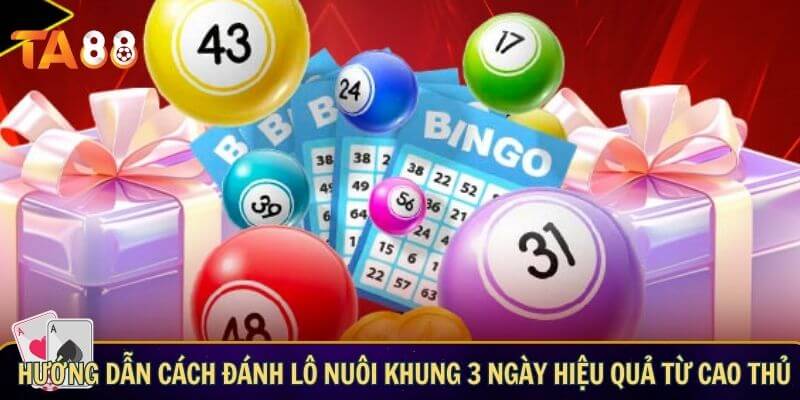 Cách đánh lô nuôi khung 3 ngày hiệu quả giúp tìm bộ số tài lộc Hướng dẫn cách đánh lô nuôi khung 3 ngày hiệu quả từ cao thủ