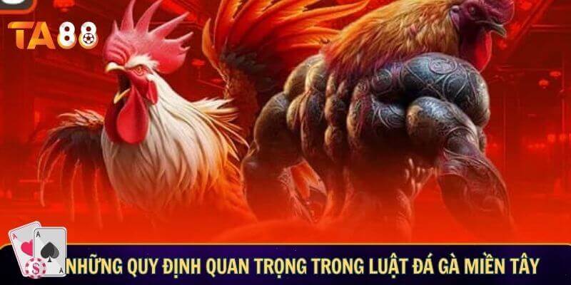 Luật đá gà miền Tây - Các quy định quan trọng trong trận đấu Những quy định quan trọng trong luật đá gà miền Tây