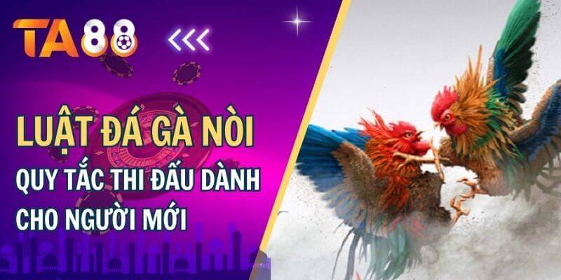 Luật đá gà nòi, quy tắc thi đấu danh cho người mới