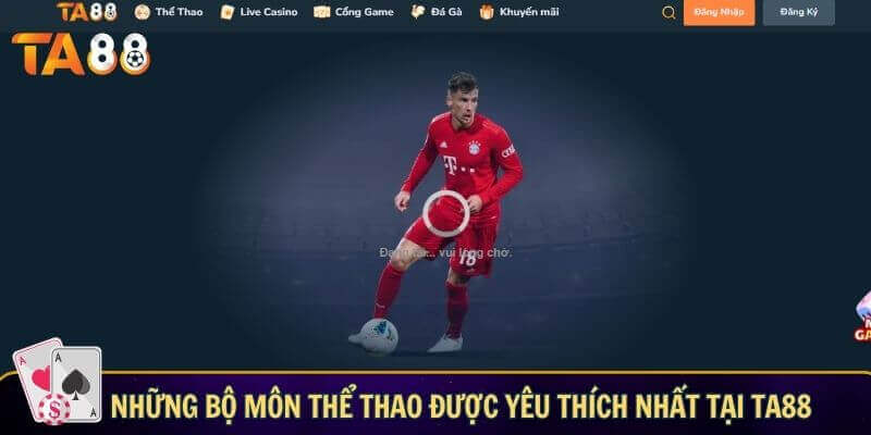 Những bộ môn thể thao được yêu thích nhất tại TA88
