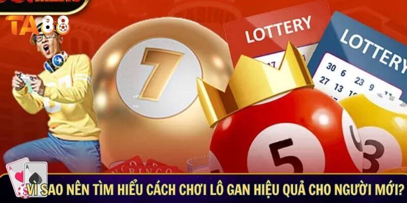Hướng dẫn cách chơi lô gan hiệu quả cho người mới Vì sao nên tìm hiểu cách chơi lô gan hiệu quả cho người mới?