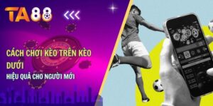 Tìm hiểu tổng quan về kèo trên kèo dưới