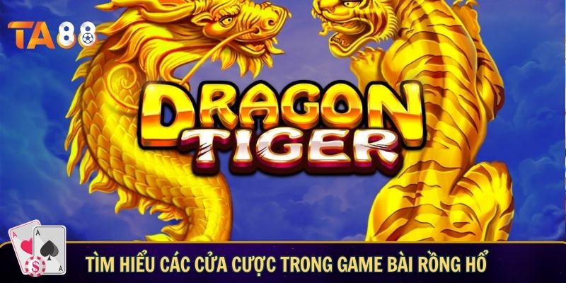 Game Bài Rồng Hổ: Luật Chơi Cơ Bản Dành Cho Người Mới Tìm hiểu các cửa cược trong game bài Rồng Hổ