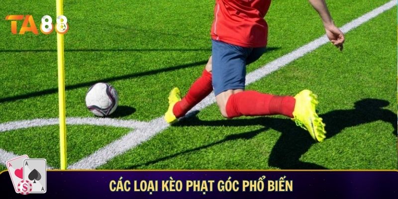 Kèo phạt góc là gì? Hướng dẫn cách soi kèo chuẩn tại TA88 Các loại kèo phổ biến trong kèo phạt góc là gì?